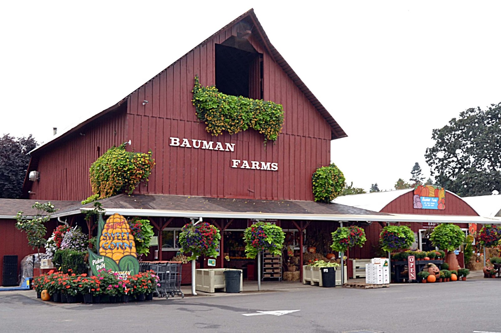 Side Trips OREGON COAST September 2017 Part 2—Gardens and a Fest