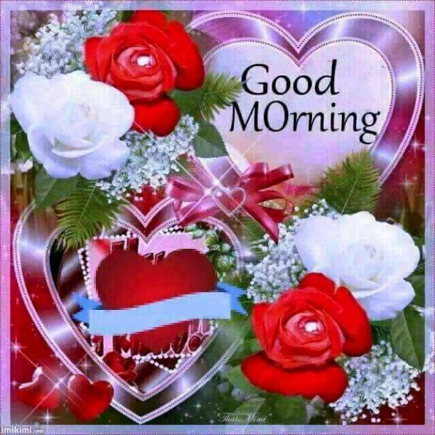 BEAUTIFUL GOOD MORNING PICTURES FOR WHATSAAP STATUS