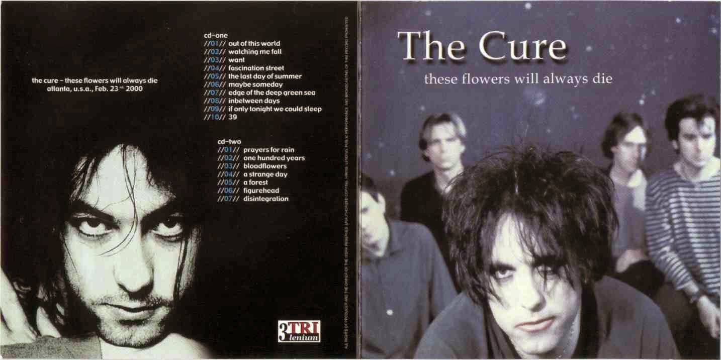 Cure перевод на русский. The Cure 1982. The Cure в молодости. The Cure в молодости группа. The Cure 2000.