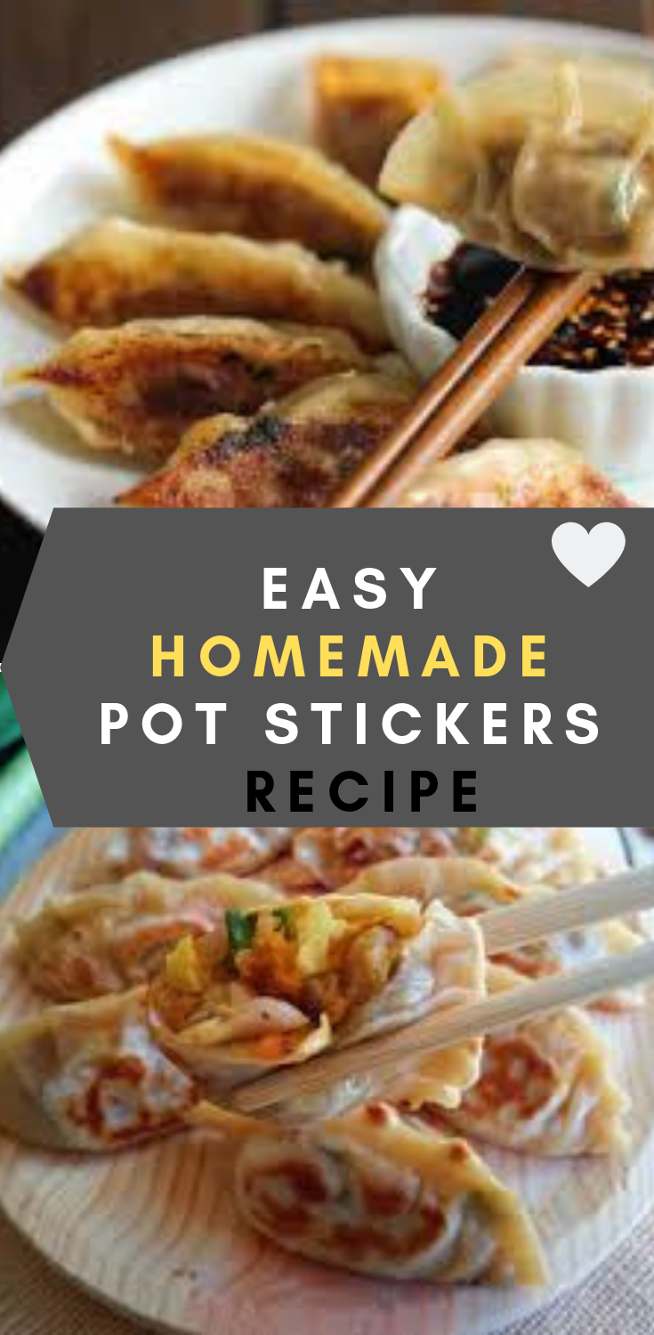 EASY HOMEMADE POT STICKERS RECIPE Easy Recipes