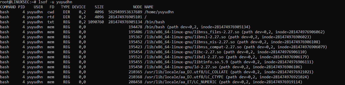 Bash m. Bash m