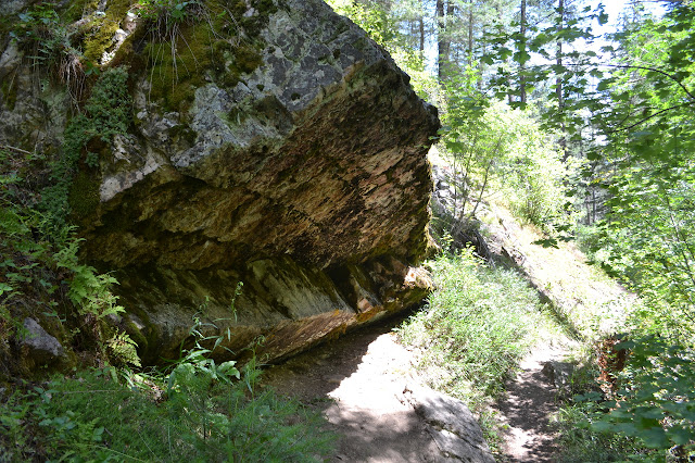 mossy overhanging rock