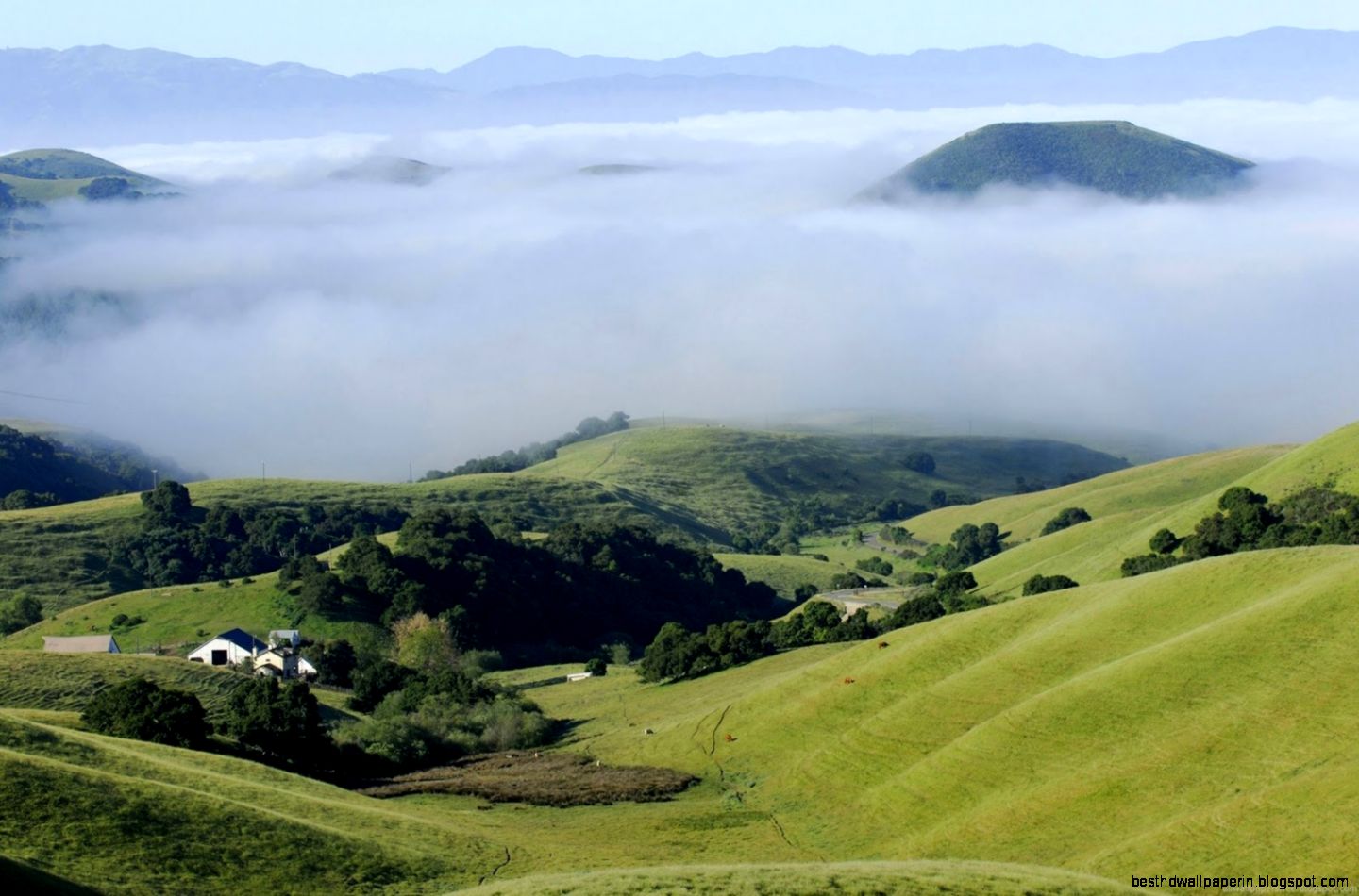 High Resolution Nature