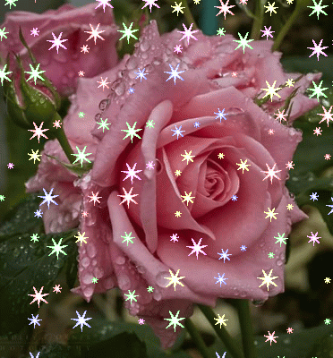 bloggif_5a7328c1f0502.gif