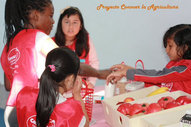 Niña jugando a juego de alimentos