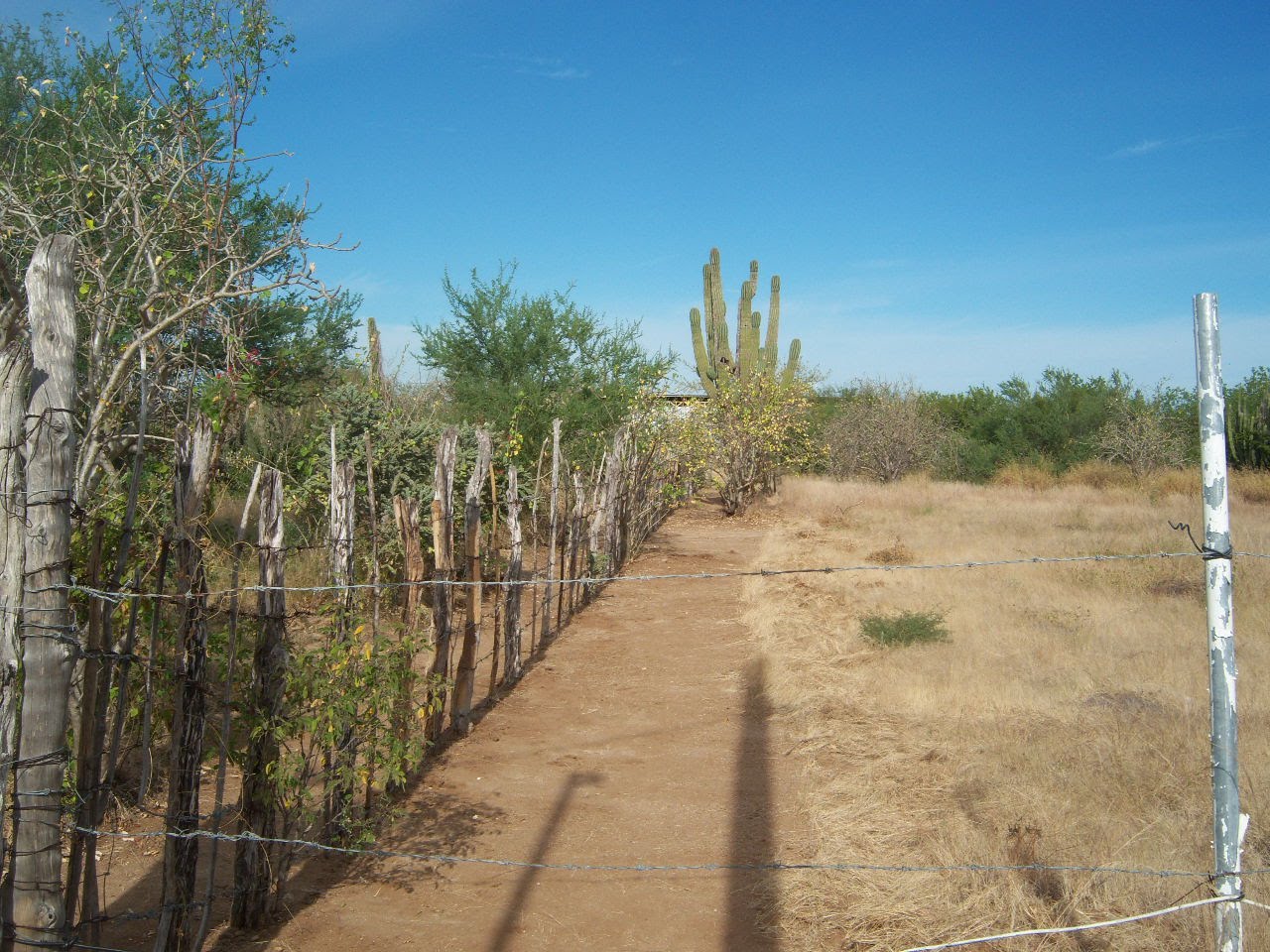 LA PAZ,BAJA CALIFORNIA SURes SE VENDE TERRENO EN SAN PEDRO, B.C.SUR