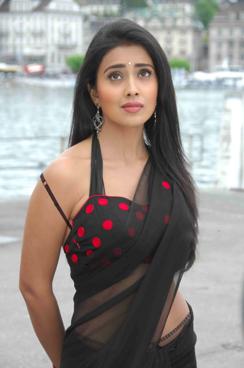shriya-saran-hot-image.jpg