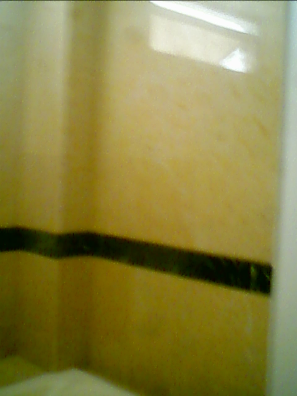 ROMAN DE LA ROSA ROMERO: BAÑOS FORRADOS CON MARMOL