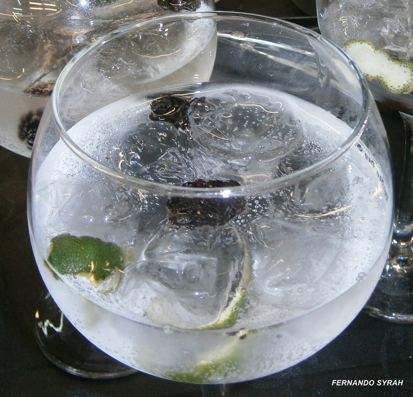 VINO, GASTRONOMIA Y VIAJES (Entre Fogones y Gin Tonics) ¿Qué opinais