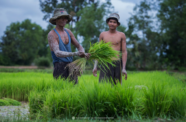 Cambodia farmers