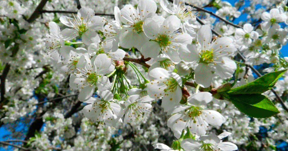 Весны 9а. Весны 9а. Курс на весну. Улица весенняя 9. Весны 9 красноярск.