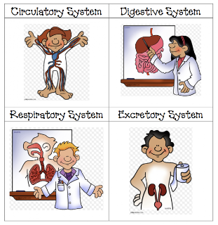 Life Science: Plants & Animals