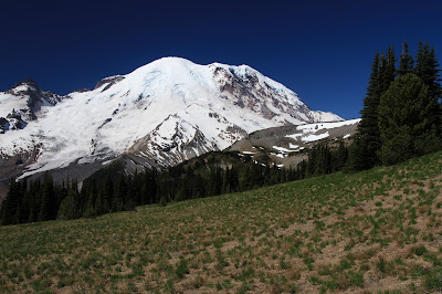View of Rainier from Trail to Berkeley Camp
