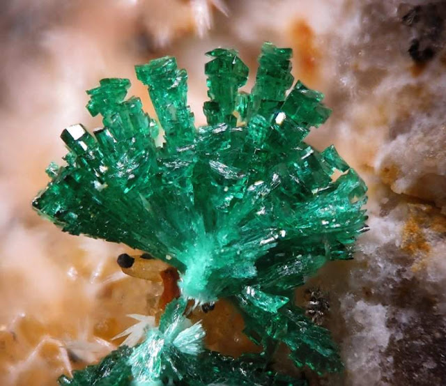 Malachite Crystals from Spain 