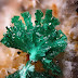Stunning Malachite Crystals 