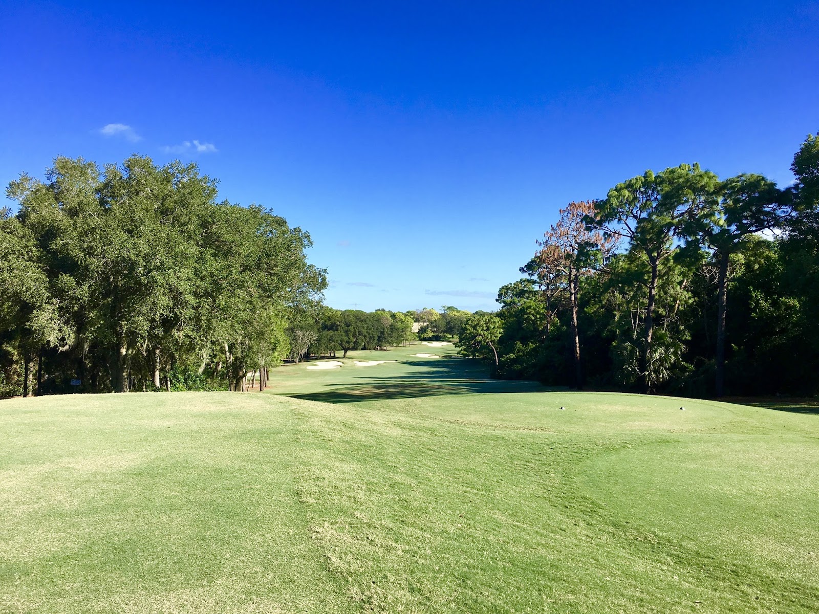 GREAT EATS HAWAII INNISBROOK GOLF RESORT COPPERHEAD COURSE
