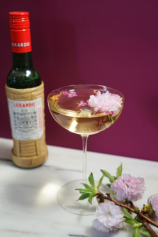 Gastronomista Luxardo Cherry Blossom Martini