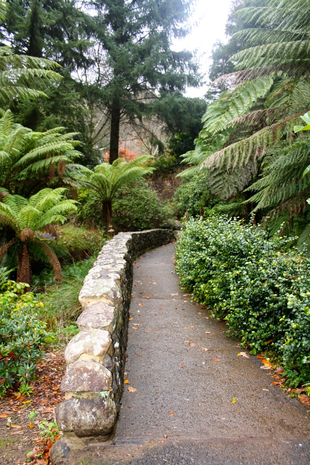 RDO Melbourne: National Rhododendron Gardens, Olinda