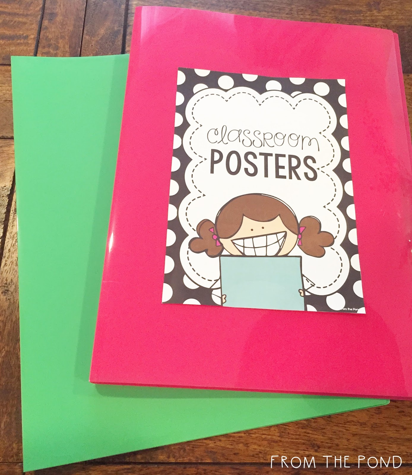 Posters for the Classroom From the Pond