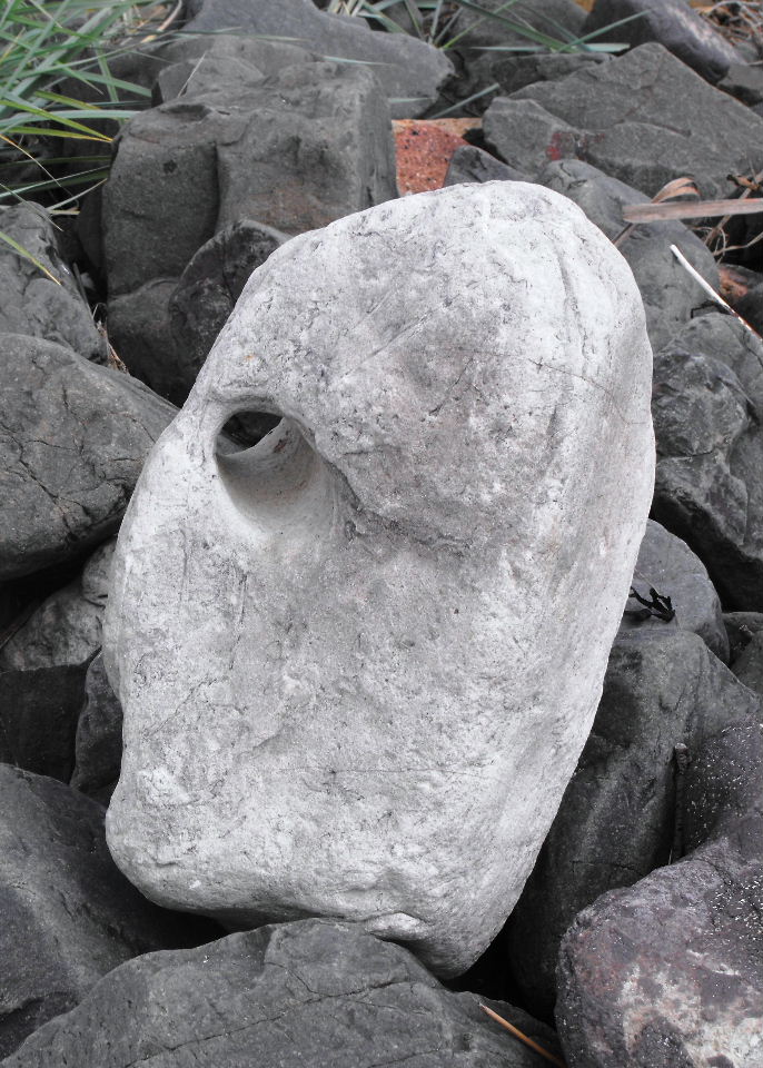 Largo Baywatch: Quirky Rocks