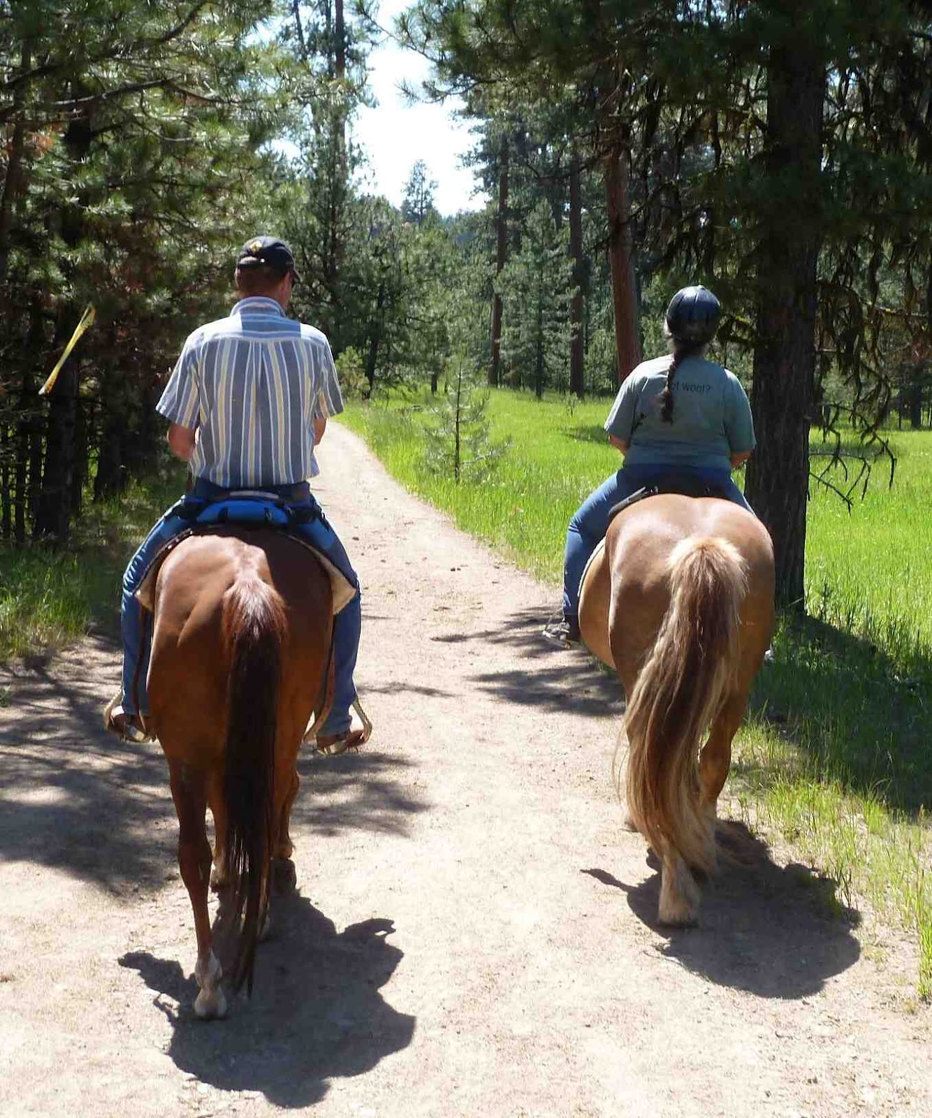 Lara with horse episode 4 Lara with horse episode 4