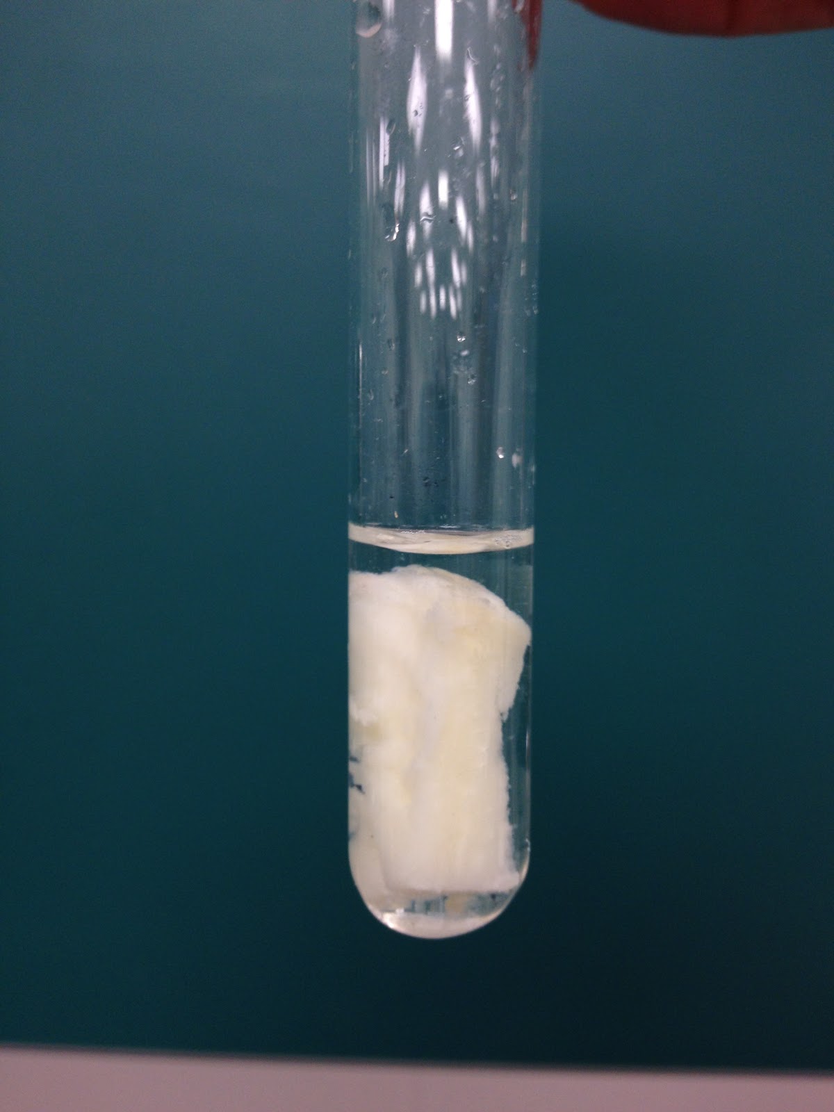 Potato And Hydrogen Peroxide Experiment