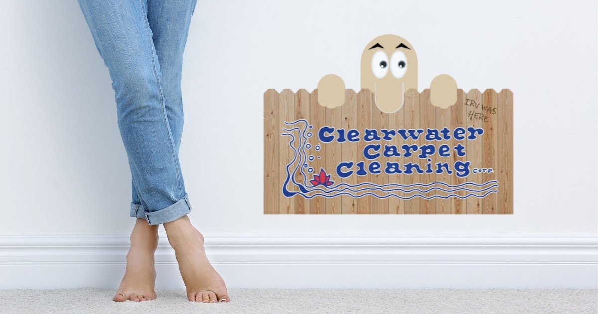 Clearwater Carpet Cleaning