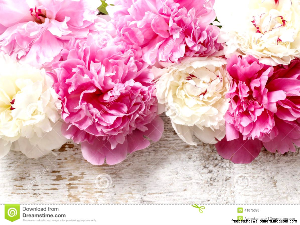 Stunning Pink Peonies Yellow Carnations And Roses Stock Photo