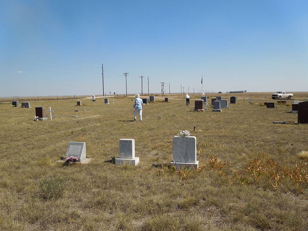 It's A "Melting Pot" Family Tree