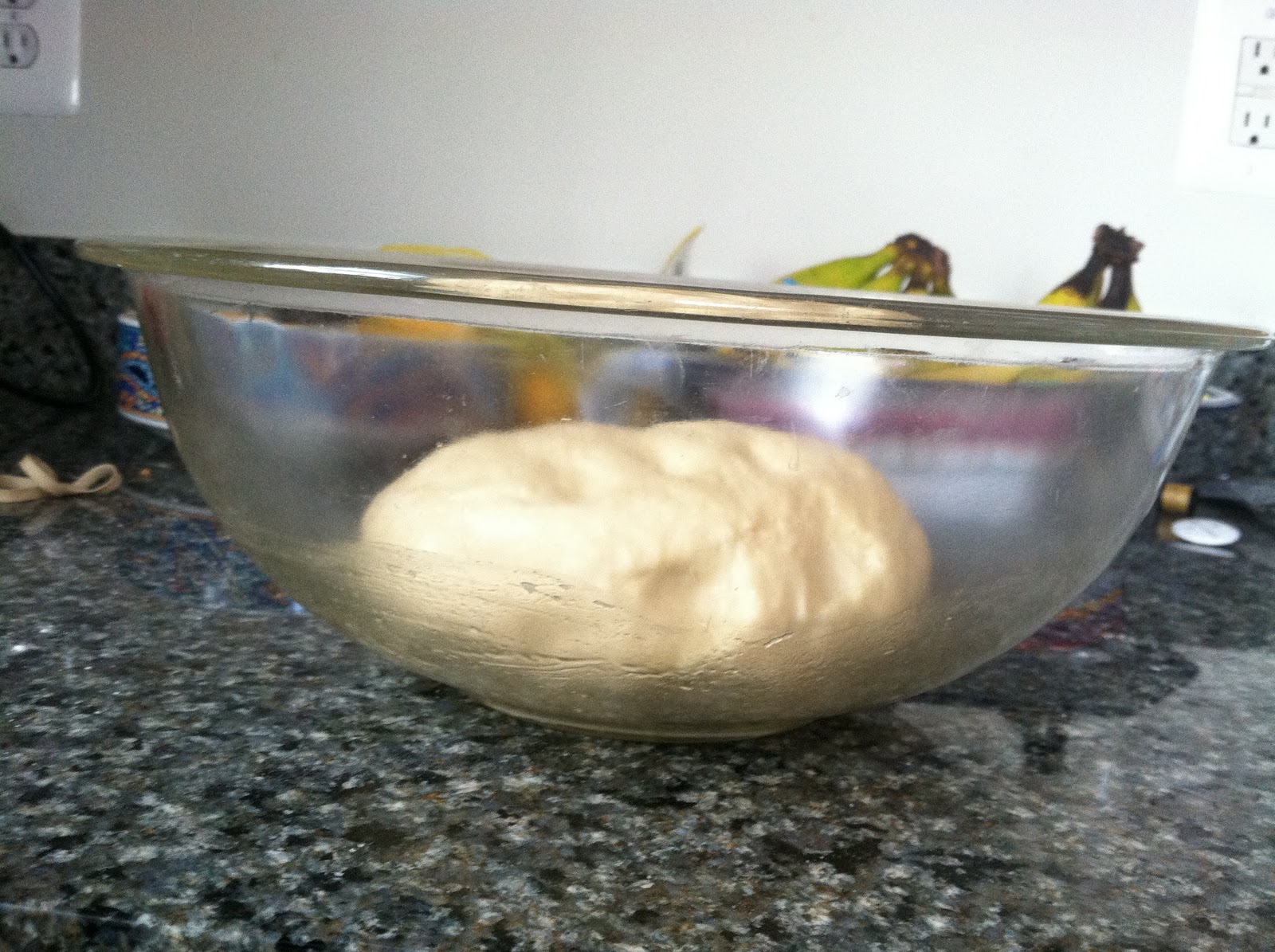 The Bread Maiden The Science Behind... the risen loaf