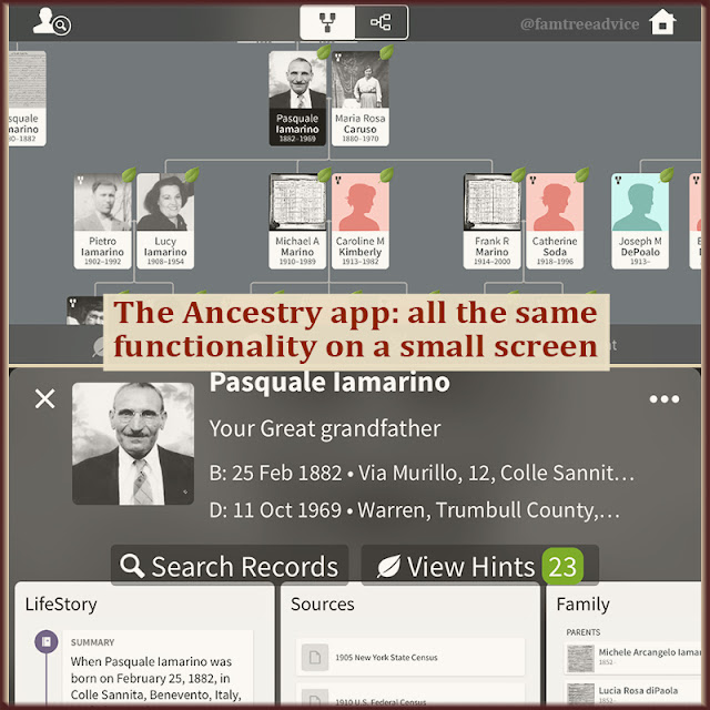 Two views of my family tree in the Ancestry app.
