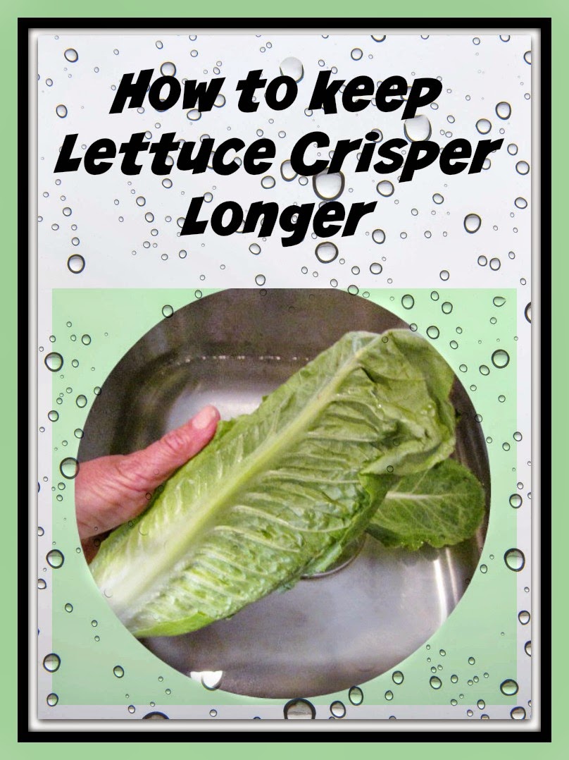 How to Keep Lettuce Crisper Longer