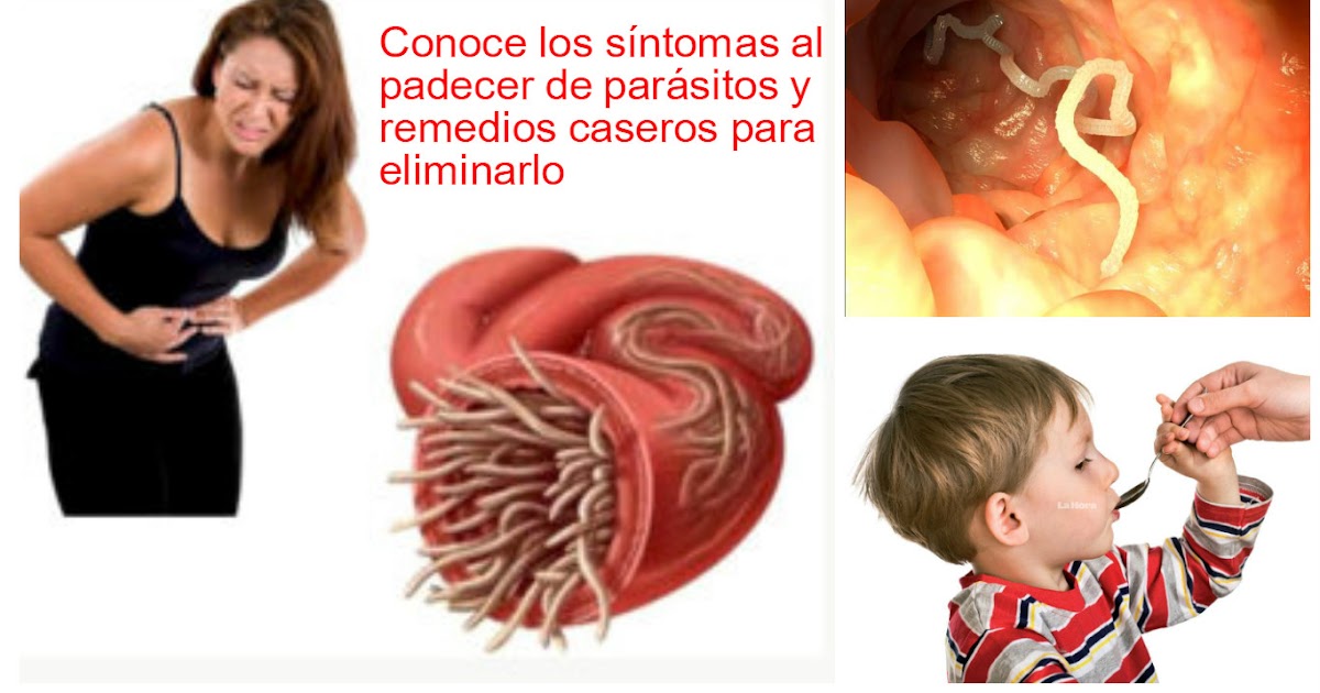 Las lombrices su tratamiento las revocaciones