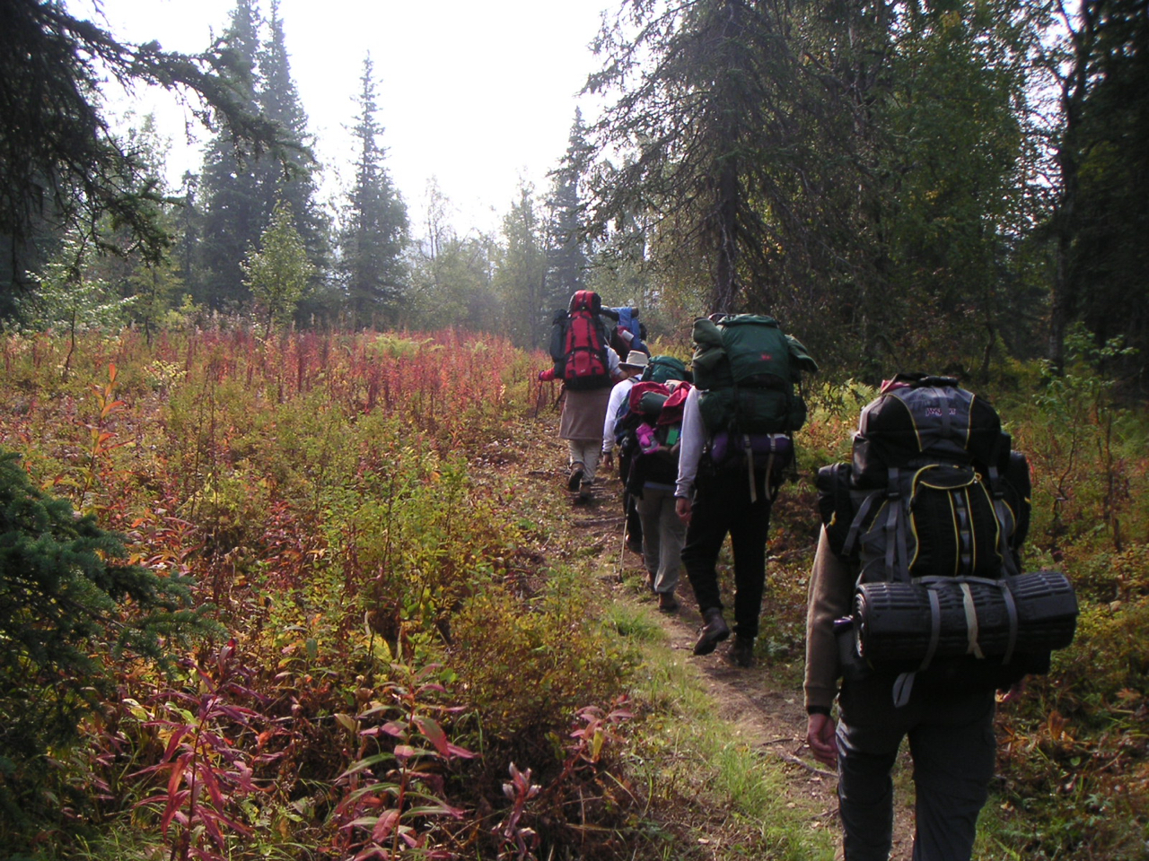 Chuck's Adventures Backpacking Alaska's Kesugi Ridge Trail in Denali