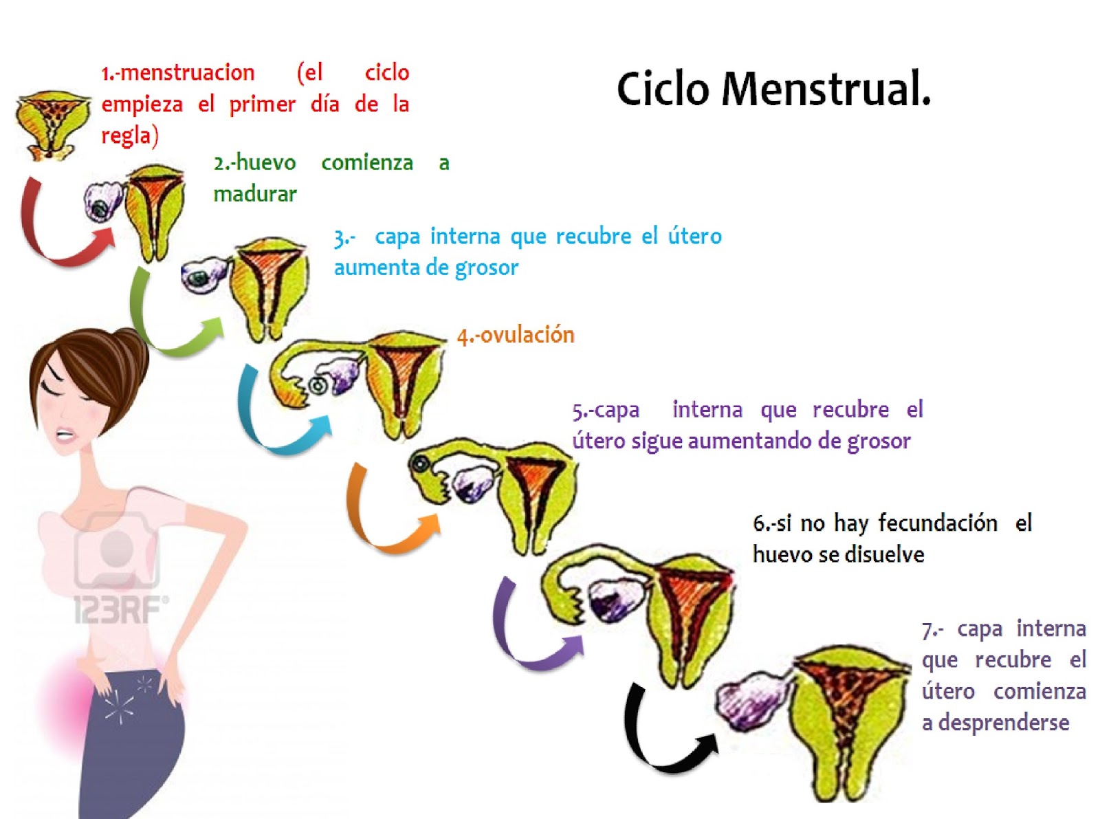 Aparato Reproductor Femenino