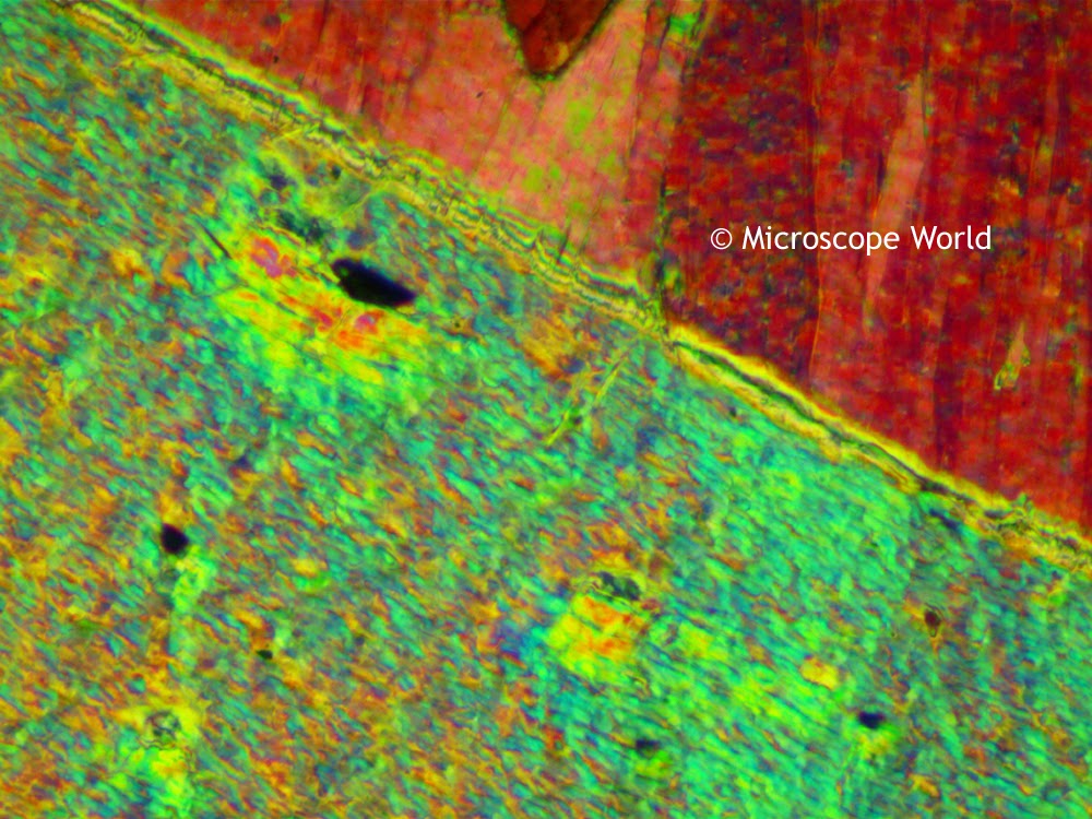 Tremolite under the polarizing microscope.