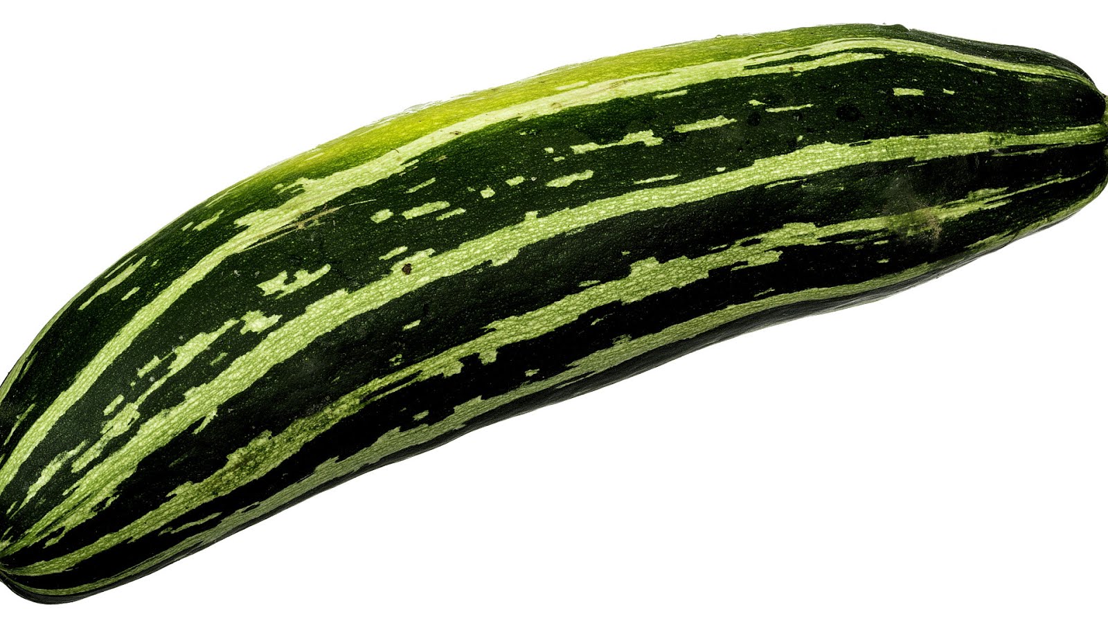 Types Of Italian Squash Squash Choices