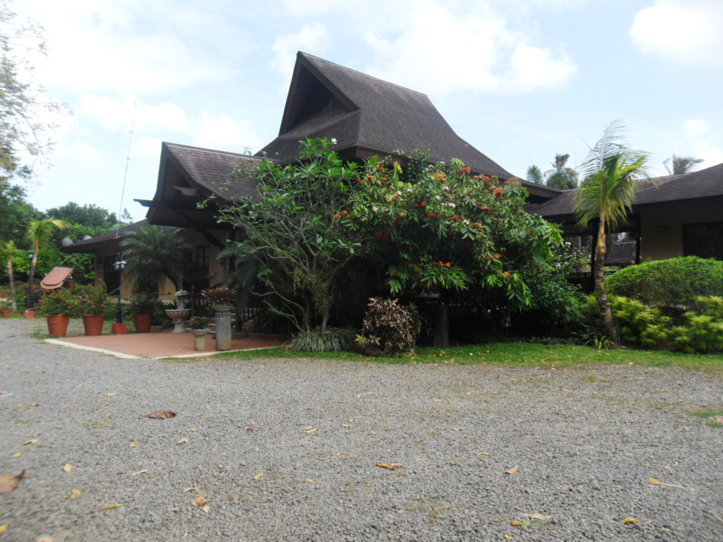 the CHALEBRATIONS! blog: JARDIN DE ANTONIO | GARDEN VENUE