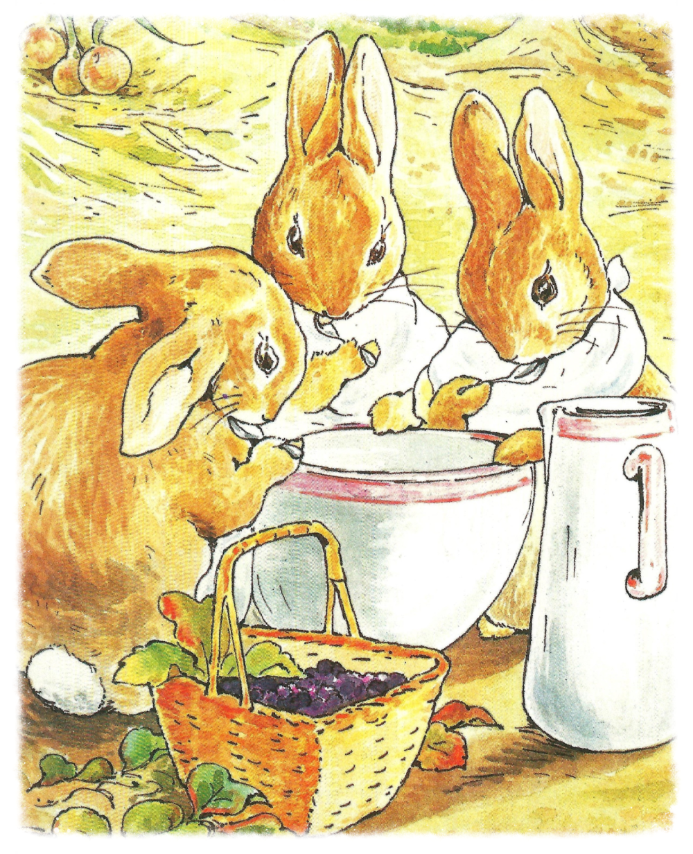 А5 иллюстратор. Peter Rabbit Cottontail. Peter Rabbit Флопси. Кролик Питер иллюстрации. Мир кролика Питера и его друзей.