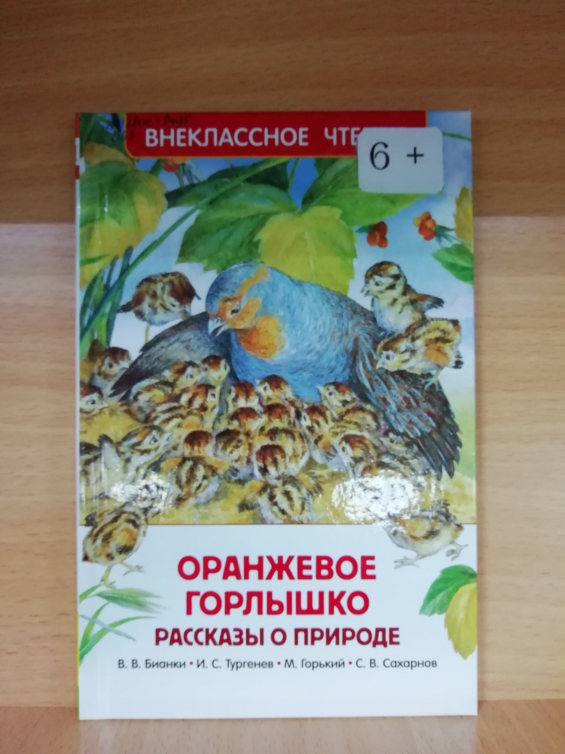 Бианки оранжевое горлышко читать. Бианки в. Бианки произведение оранжевое горлышко мурзук. Виталия бианки оранжевое горлышко. "оранжевое горлышко".