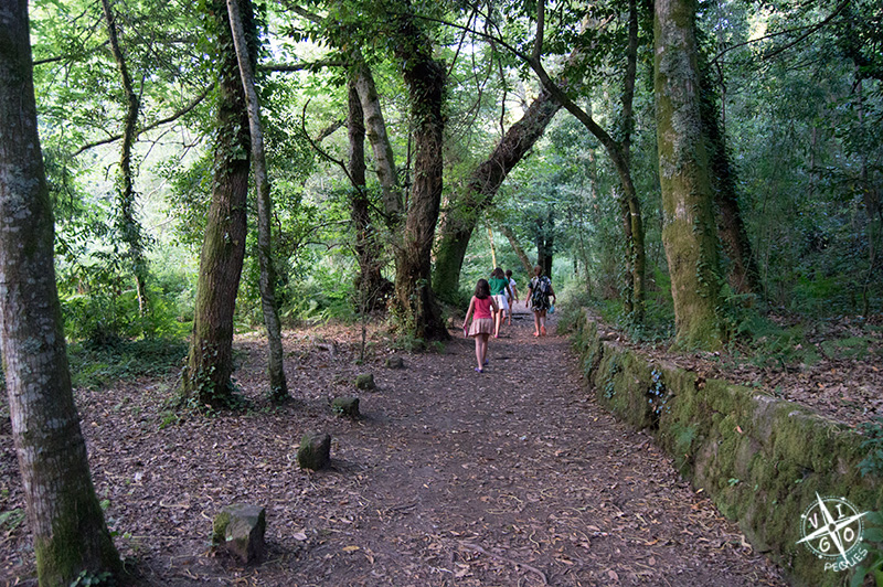Bosque Encantado y Castillo de Aldán Vigopeques Familias con niños
