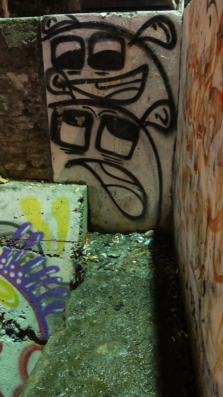 Memories and Misadventures: Chile - 25-30 July 2011