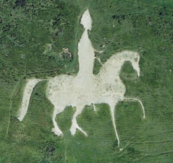 Something Surprising White Horses in the Chalk