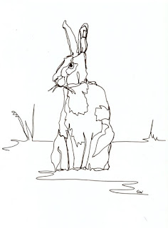 #inktober hare contour drawing
