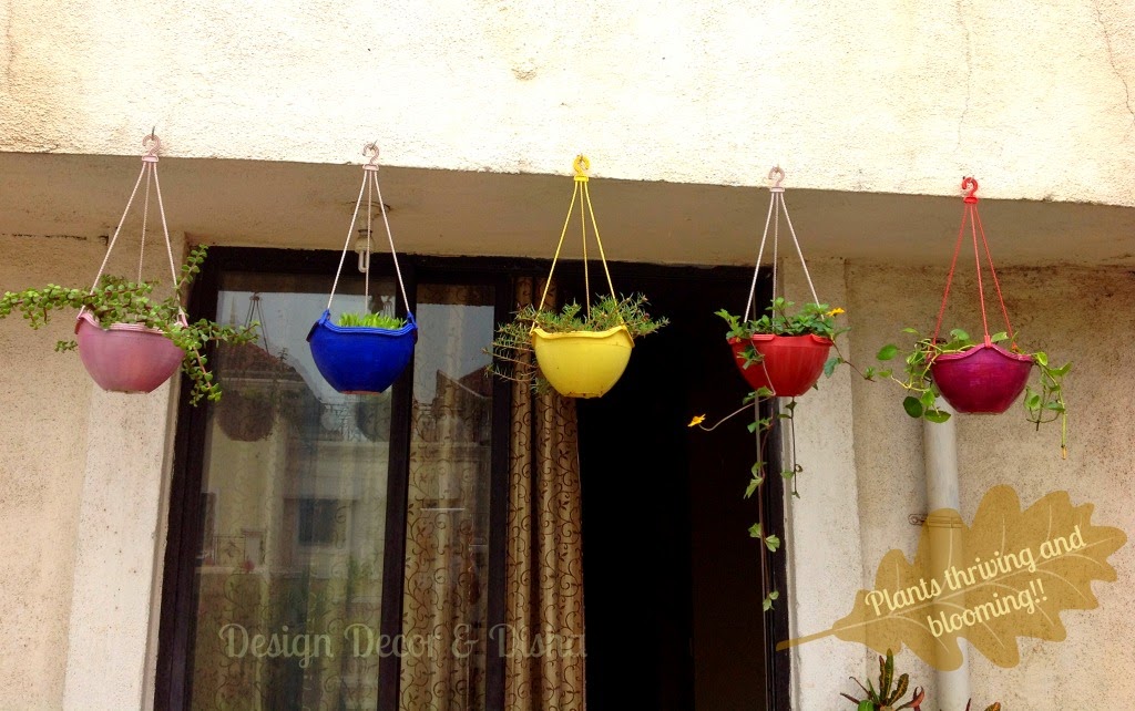 Hanging Baskets In My Small Balcony Garden INDOOR HOUSE PLANT GUIDE