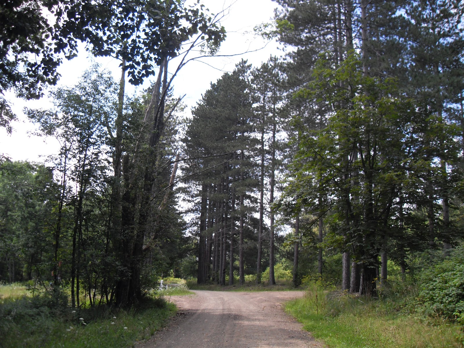 Snow and Jaggers Windy City, PA