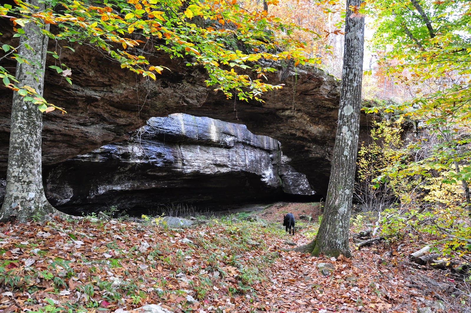 Rick's Hiking Blog Alum Cove, Ozark National Forest, Arkansas