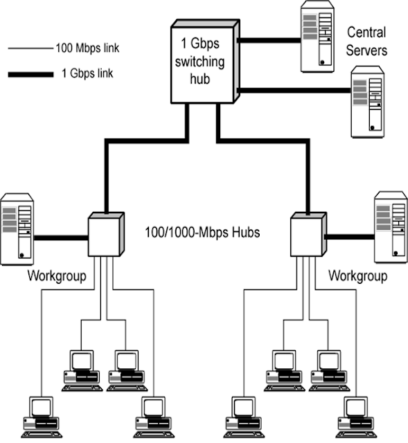 Network Security and Programming Gigabit Bridges, Switches