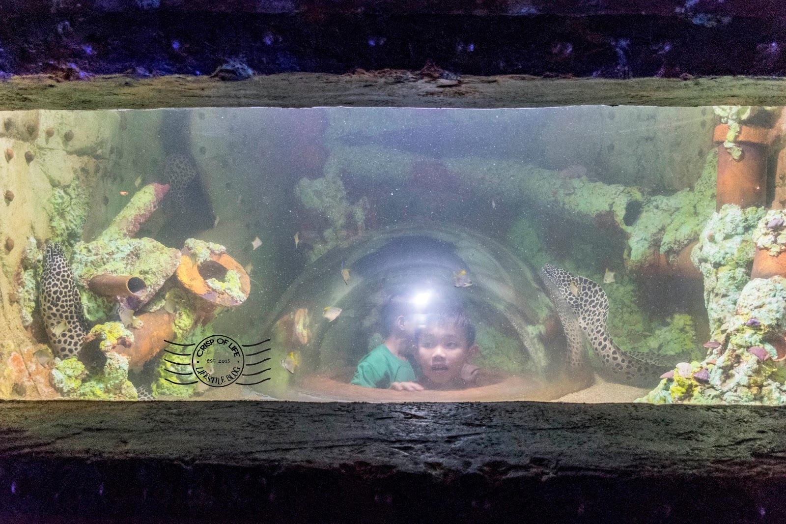 Penang aquarium