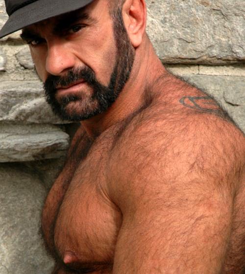 Hairy Male Galleries 3